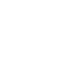 bronx luggage logo